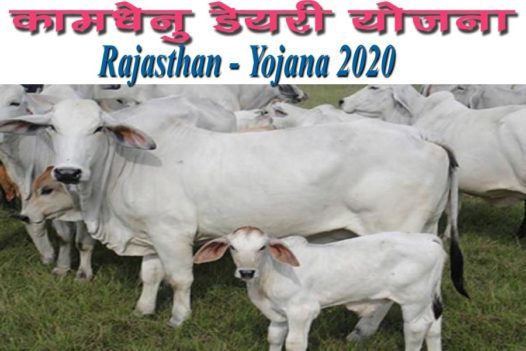 Rajasthan Kamdhenu Dairy Yojana