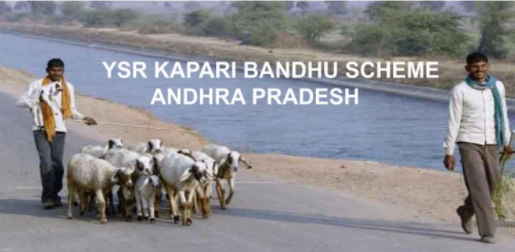 AP YSR Kapari Bandhu Scheme
