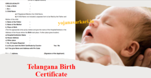 Telangana Birth Certificate