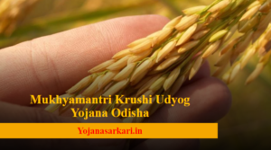 Mukhyamantri Krushi Udyog Yojana Odisha