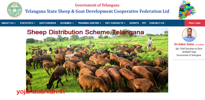 Sheep Distribution Scheme Telangana